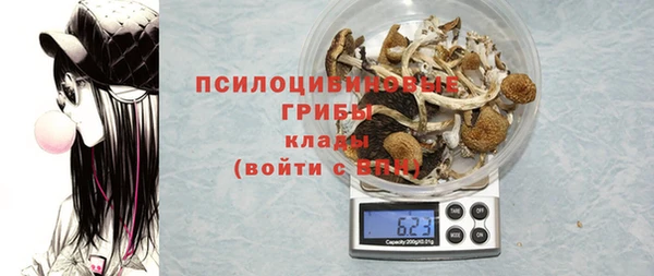 спиды Надым