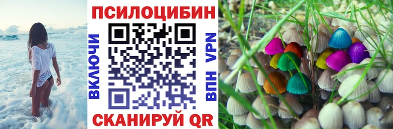 Псилоцибиновые грибы Cubensis  что такое   Коряжма 