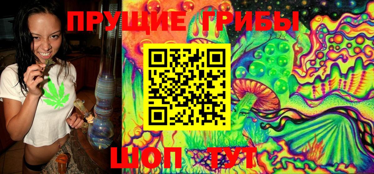 Галлюциногенные грибы ЛСД  Галлюциногенные грибы GOLDEN TEACHER  Коряжма 