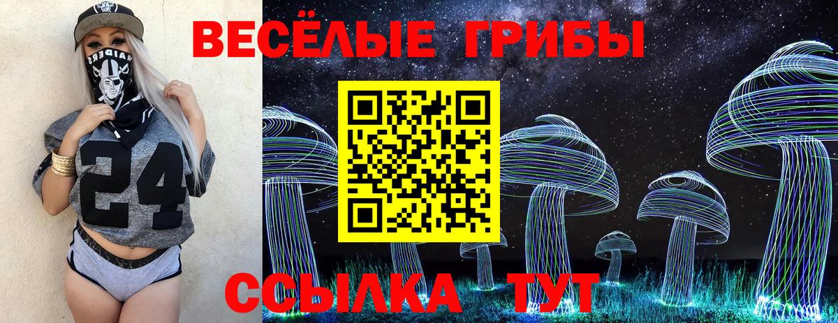 Галлюциногенные грибы мухоморы Коряжма