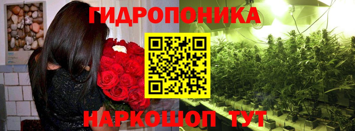 МАРИХУАНА гибрид  Вход с VPN  Коряжма  МАРИХУАНА Bruce Banner  Бошки марихуана Ganja 